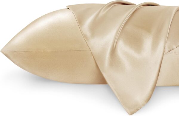 Satin Pillow Case 2 Pack(champagne)