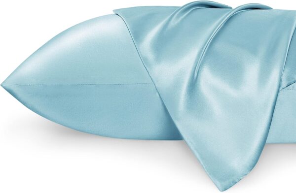 Satin Pillow Case 2 Pack(l Blue)