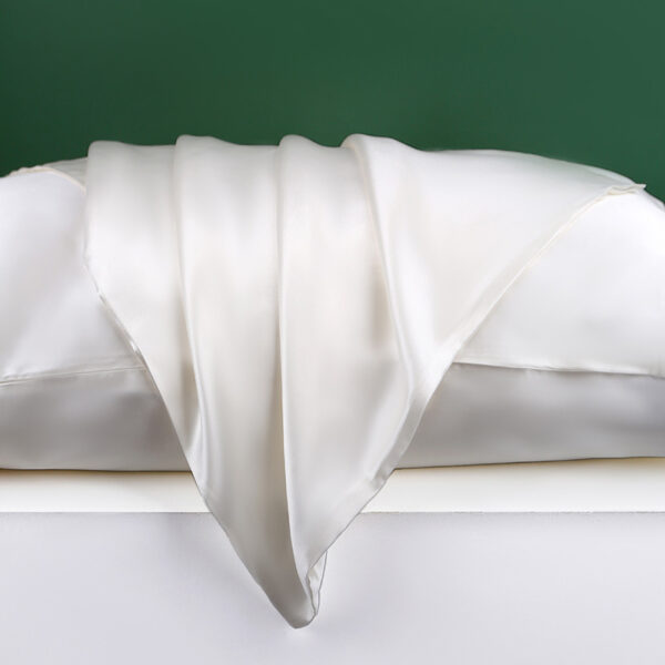 Silk Pillowcase 22 Momme, Grade 6a Mulberry Silk 1pc(white)