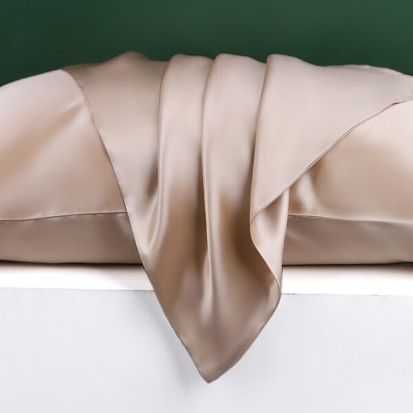 Silk Pillowcase 22 Momme, Grade 6a Mulberry Silk 1pc(champagne)